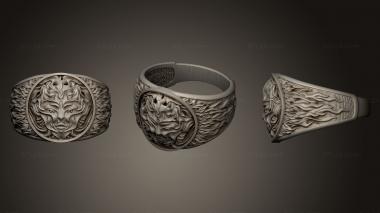 Jewelry rings Element of Fire 3d model